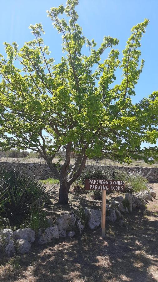 Tenuta L'Alba Di Monte Matino Otranto Eksteriør bilde