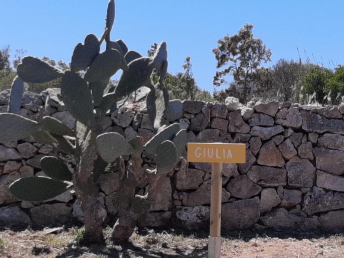 Tenuta L'Alba Di Monte Matino Otranto Eksteriør bilde